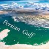 pani_piin