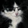 arthurchik.meow
