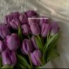 noran.drbal