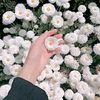 rima_rima062