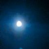 the_webstercounty_wolf