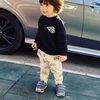 irakli.shengelia2