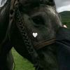malikamohamed.31