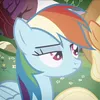 dasheswings