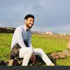 sahin_kocka8