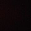 _salmi_lapat_dog_washere