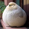 hicamori4