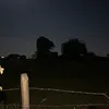 alphamaie06