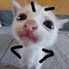 random.vids.for.u69