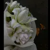 d.