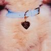 fifi_hailey