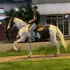 lucasramirodossantos1