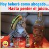 henry.manrique.ti