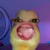 itzmeabby_05