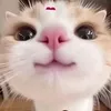 co_be_mit_uot_27