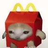 unkown_human7