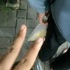 jeemaaaa_