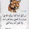 user4112867483613