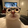 nay.yan873