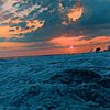 paisleigh.wilson5