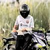najmuljcs341