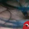 congtoccuaairitt