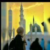 shakewalid