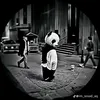 m_hahh2133