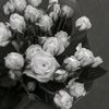 akun_fake728