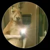 messi_263783
