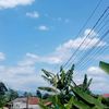 salsa062024