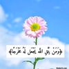 user2137996513115