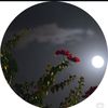 not.your.sarim