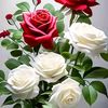 ali.hossaih6
