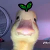 ethan_9680