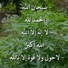 user55854722651857