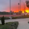 anastasik_000