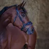 equ.dantos