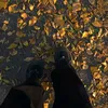 sladkii_son5