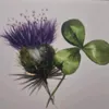 irishjules78
