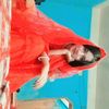 my.name.prince.orin