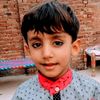 malikshahzad259892