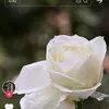 user4728489124510