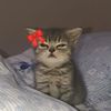 mochy_125
