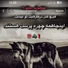 mustafa.mohammadi840