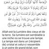user53377782923096