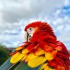 Aurora🐦‍🔥
