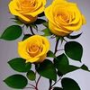 user8812432740332