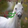 rohaa__94