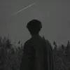 li_s204